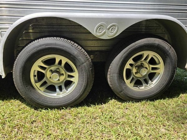 2000 C&C 2 horse Gooseneck - Image 3